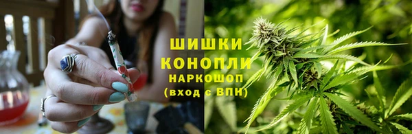 PSILOCYBIN Алзамай