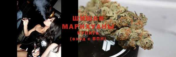 PSILOCYBIN Алзамай