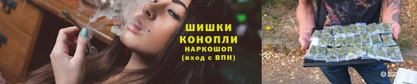 PSILOCYBIN Алзамай