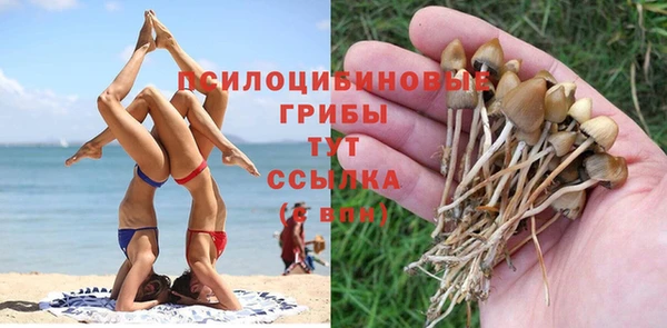 таблы Алексин