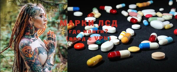 PSILOCYBIN Алзамай