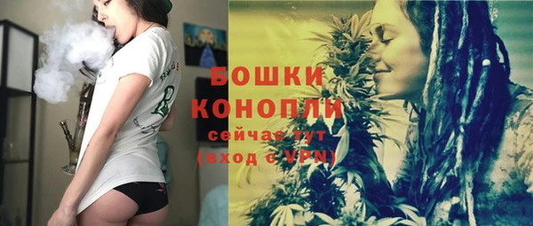 PSILOCYBIN Алзамай
